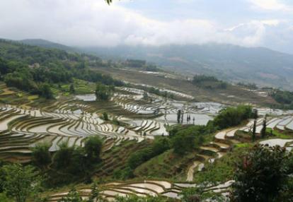 Voyage en Chine de Dominique