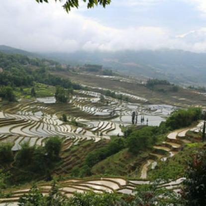 Voyage en Chine de Dominique