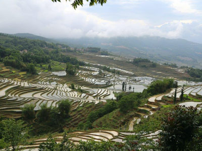 Voyage en Chine de Dominique