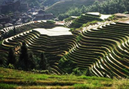 Voyage en Chine de Nadège