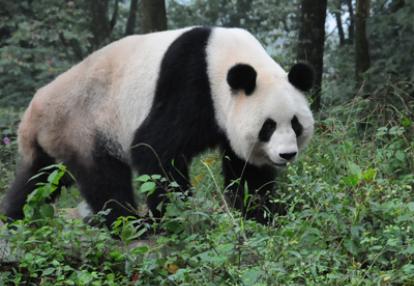 Voyage en Chine de Monique et Michel