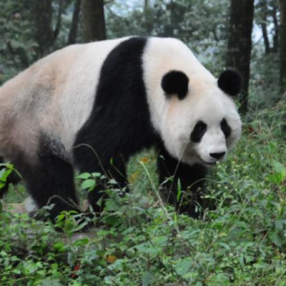 Voyage en Chine de Monique et Michel