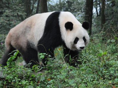 Voyage en Chine de Monique et Michel