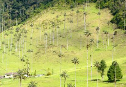 Voyage en Colombie deJean-Paul L.