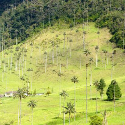 Voyage en Colombie deJean-Paul L.