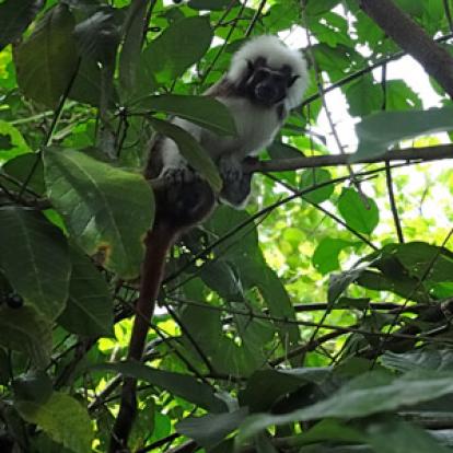 Voyage en Colombie de Jocelyne
