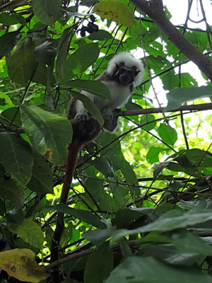 Voyage en Colombie de Jocelyne
