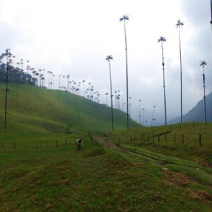 ©Jean-Pierre C. - Tous Droits Réservés Voyage en Colombie de Jean-Pierre