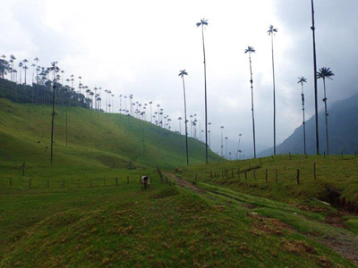 ©Jean-Pierre C. - Tous Droits réservés Voyage en Colombie de Jean-Pierre