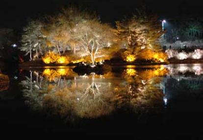 Voyage en Corée du Sud de Cécile
