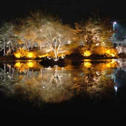 ©Cécile C. - Tous Droits Réservés Voyage en Corée du Sud de Cécile