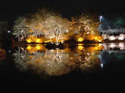 ©Cécile C. - Tous Droits réservés Voyage en Corée du Sud de Cécile