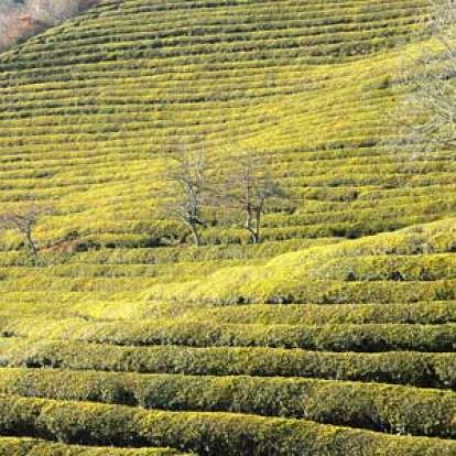©Cécile C. - Tous Droits Réservés Voyage en Corée du Sud de Cécile