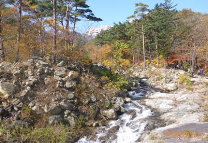Voyage en Corée du Sud du Groupe de Jean-Marc