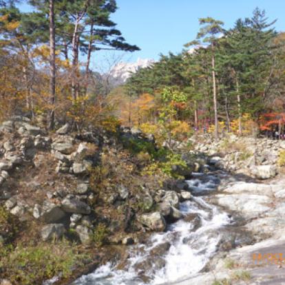 Voyage en Corée du Sud du Groupe de Jean-Marc