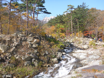 Voyage en Corée du Sud du Groupe de Jean-Marc