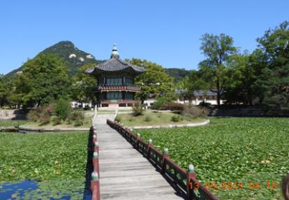 Voyage en Corée du Sud du Groupe de Myriam