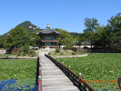 Voyage en Corée du Sud du Groupe de Myriam