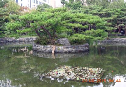 Voyage en Corée du Sud du Groupe de Myriam