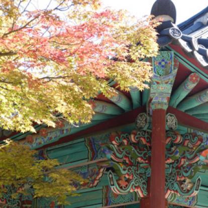 Voyage en Corée du Sud de Michel et Claire-Lise