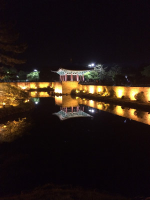 Voyage en Corée du Sud d'Anne-Marie et Emmanuel