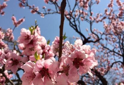 Voyage en Corée du Sud d'Anne-Marie et Emmanuel