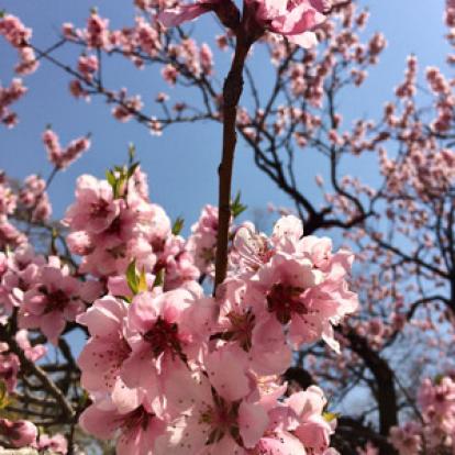 Voyage en Corée du Sud d'Anne-Marie et Emmanuel