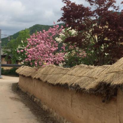 Voyage en Corée du Sud d'Anne-Marie et Emmanuel