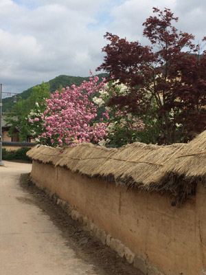 Voyage en Corée du Sud d'Anne-Marie et Emmanuel