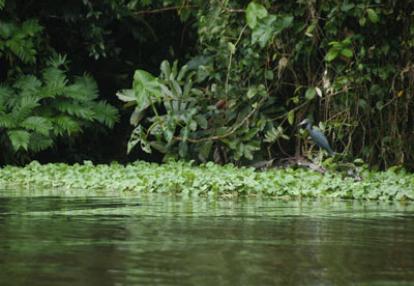 Voyage au Costa Rica de Greg et Emannuelle C.