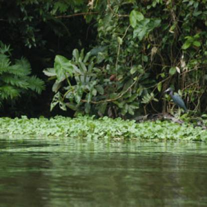 Voyage au Costa Rica de Greg et Emannuelle C.