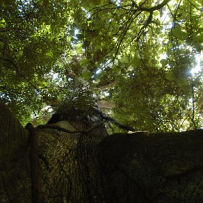 Voyage au Costa Rica de Greg et Emannuelle C.