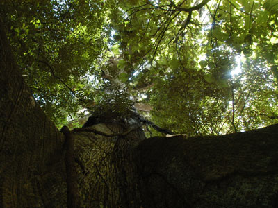 Voyage au Costa Rica de Greg et Emannuelle C.