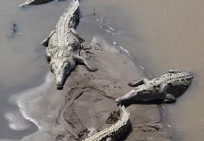 Voyage au Costa Rica de Johan