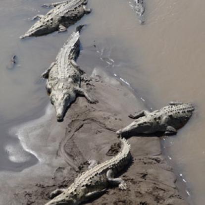 Voyage au Costa Rica de Johan