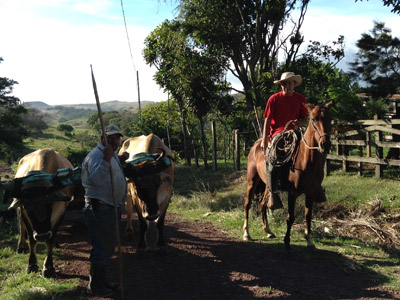 Voyage au Costa Rica de Nathalie