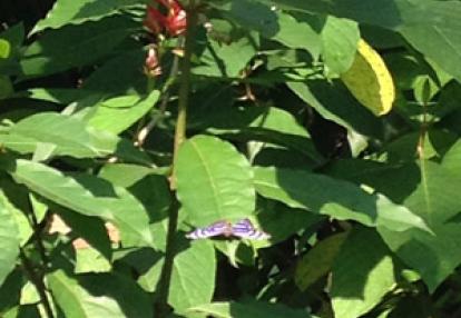 Voyage au Costa Rica de Nathalie