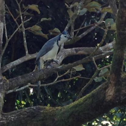 Voyage au Costa Rica de Nathalie