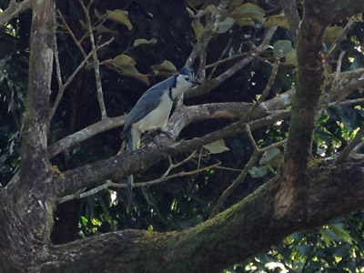 Voyage au Costa Rica de Nathalie