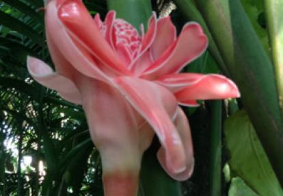 Voyage au Costa Rica de Nathalie