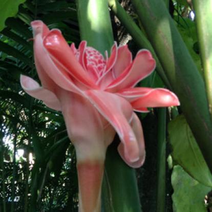 Voyage au Costa Rica de Nathalie