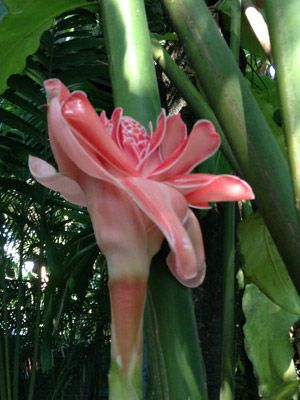 Voyage au Costa Rica de Nathalie