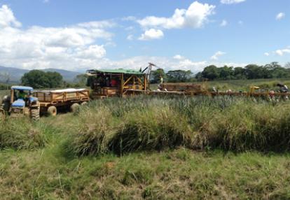 Voyage au Costa Rica de Nathalie