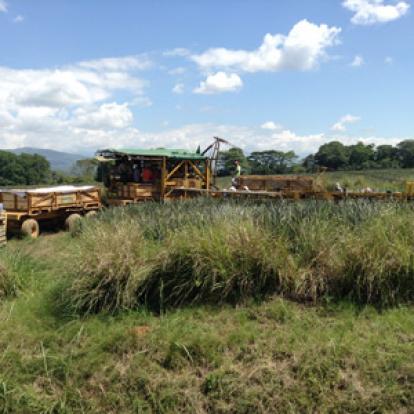 Voyage au Costa Rica de Nathalie