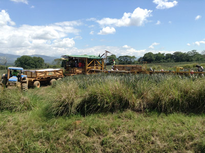 Voyage au Costa Rica de Nathalie