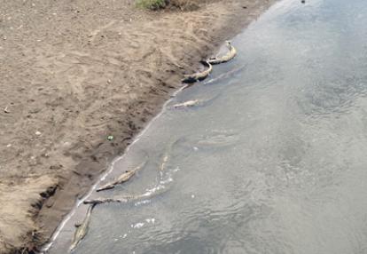 Voyage au Costa Rica de Nathalie