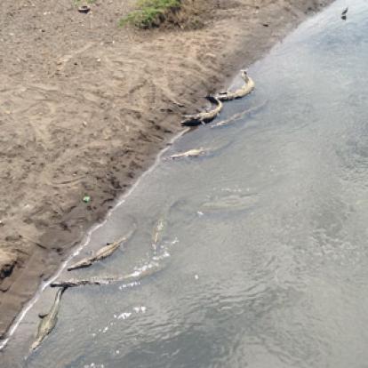 Voyage au Costa Rica de Nathalie