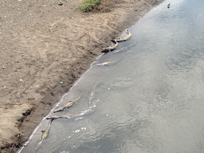 Voyage au Costa Rica de Nathalie