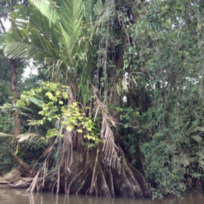 Voyage au Costa Rica de Nathalie