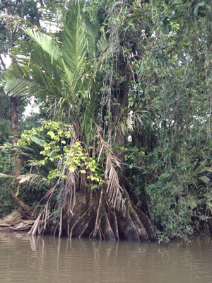 Voyage au Costa Rica de Nathalie